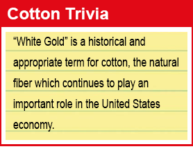 Trivia 