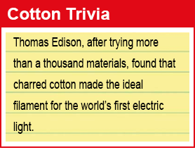 Trivia