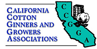 CCGGA Logo