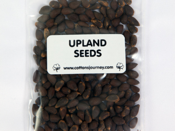 Cotton Planting Seed Upland